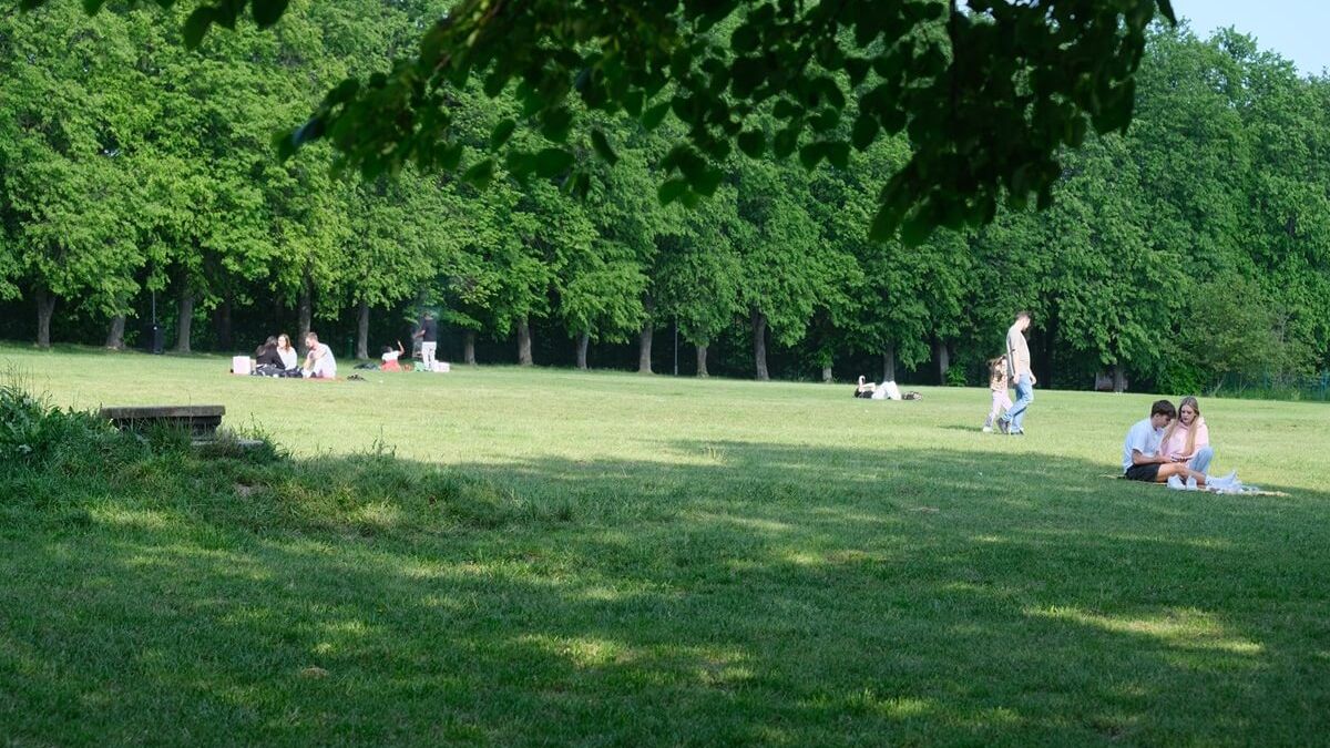 Zielona polana nad Zalewem Zemborzyckim
