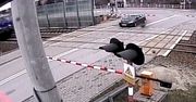 Kierowca utknął między rogatkami. Pociąg nie zatrzymał się od razu