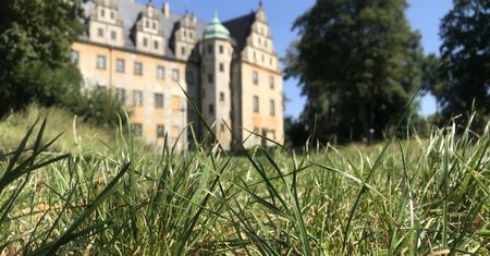 Wrocław. Jak dbać o tereny zielone? Powstał specjalny raport