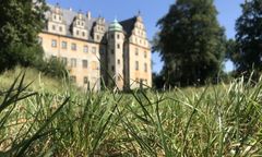 Wrocław. Jak dbać o tereny zielone? Powstał specjalny raport