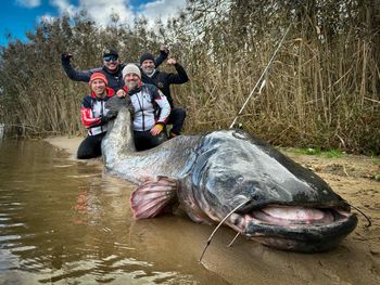 Sum gigant. Mierzył prawie 3 metry długości
