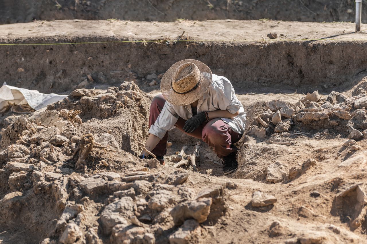 Islamic history unearthed beneath Portuguese castle ruins