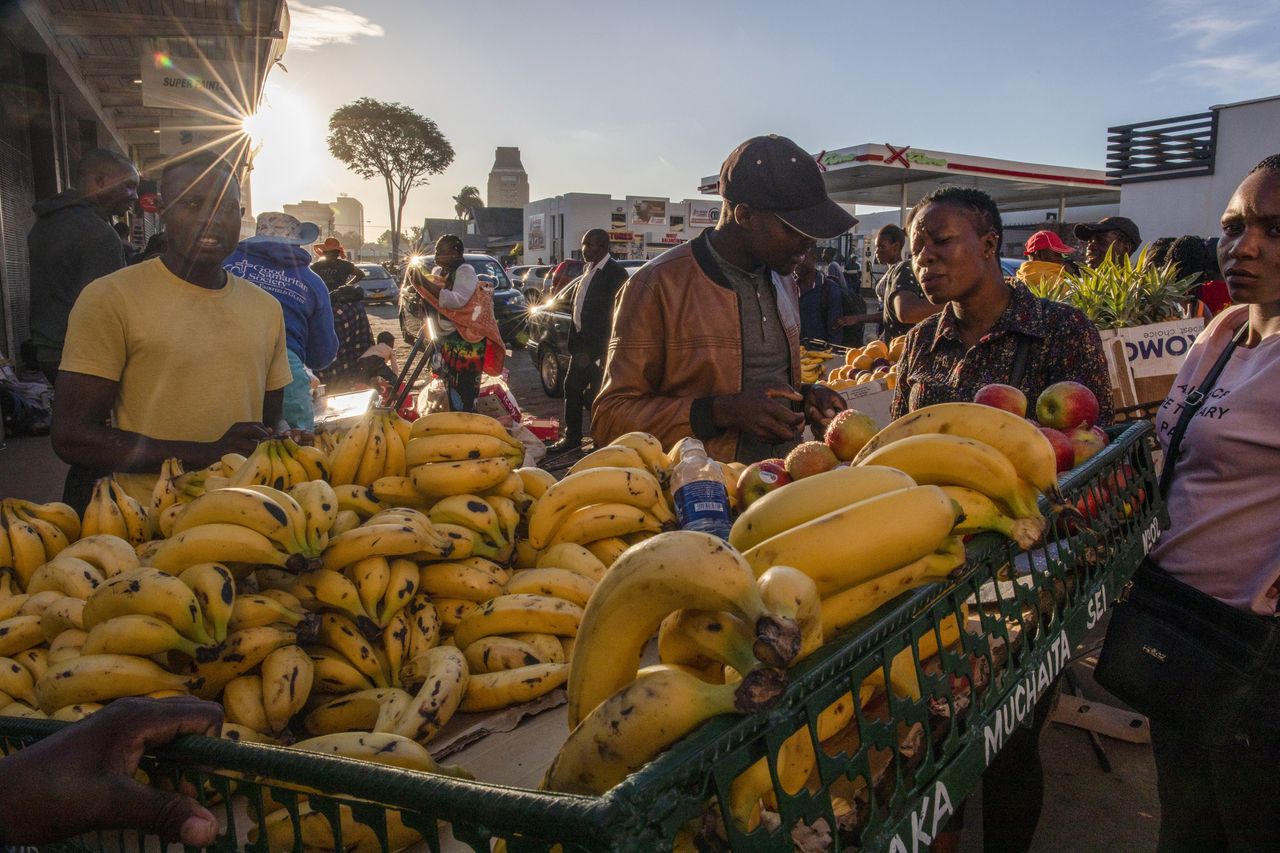 Customers browse fresh fruit at a produce stall in the central business district of Harare, Zimbabwe, on Monday, Feb. 12, 2024. Zimbabwe may back its currency with gold in an effort to end exchange-rate instability, Finance Minister Mthuli Ncube said. Photographer: Cynthia R Matonhodze/Bloomberg via Getty Images