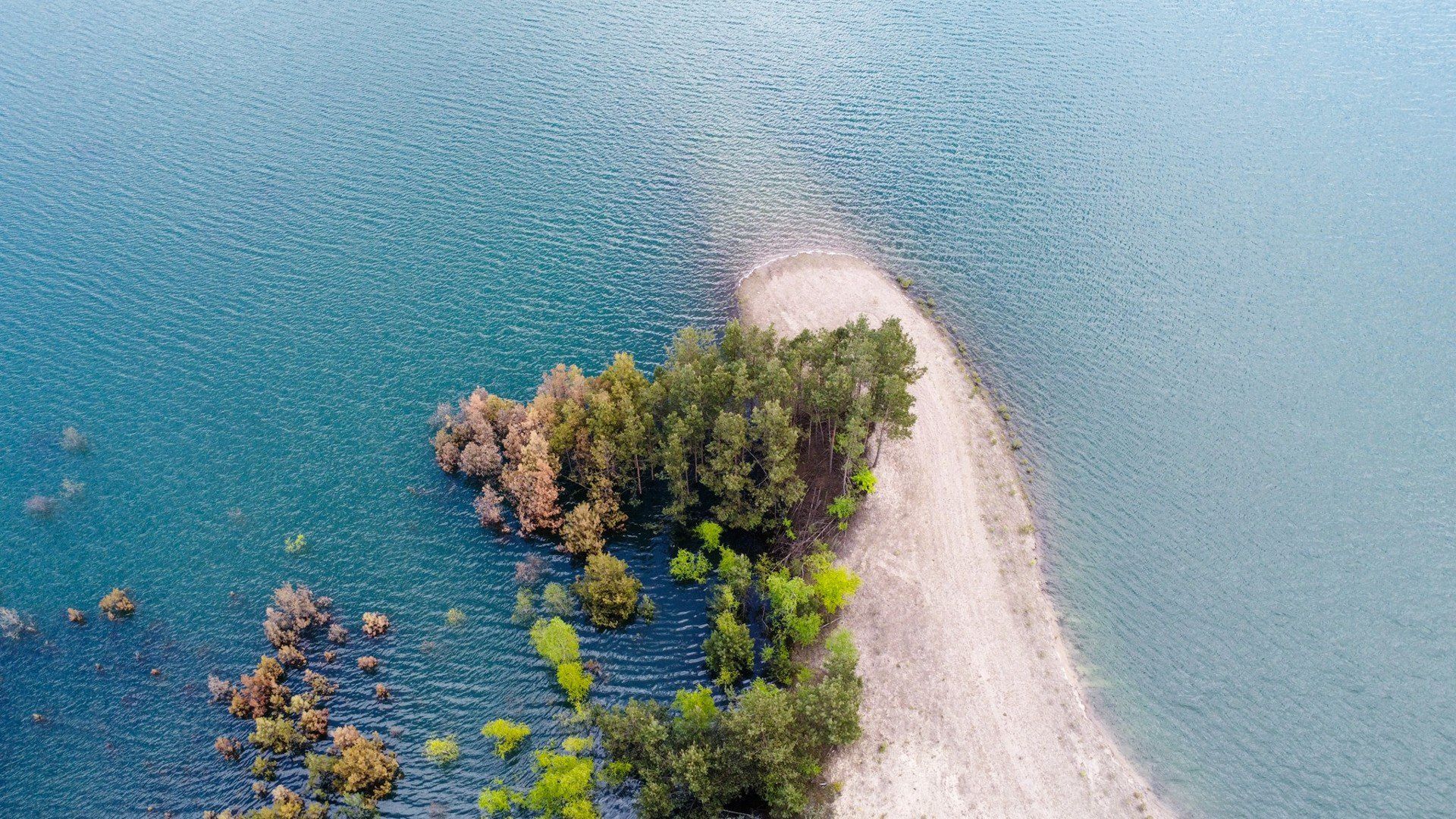 Piękne