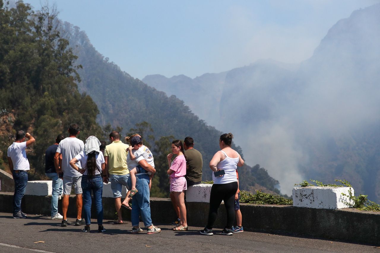 Auf Madeira brennt der Wald in den Gemeinden Ribeira Brava und Camara de Lobos.