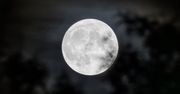 Chcą chronić Księżyc przed asteroidą. NASA chce użyć broni jądrowej