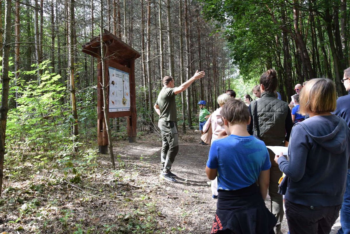 Warszawa. Lasy Miejskie zapraszają na wspólne spacery po lesie