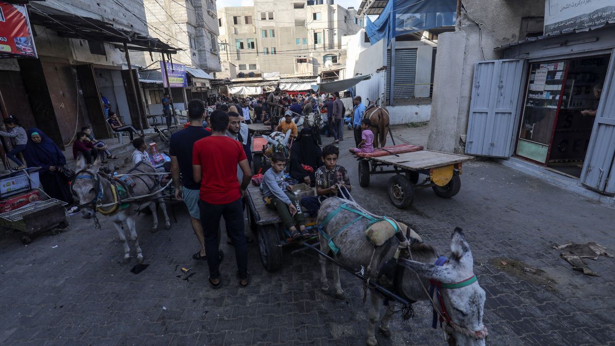 RAFAH, GAZA - OCTOBER 20: Palestinians riding on donkeys shop from street vendors after Israeli authorities have ceased supplying electricity, water and food as Israeli airstrikes continue in Gaza Strip in Rafah, Gaza on October 20, 2023. (Photo by Abed Rahim Khatib/Anadolu via Getty Images)
