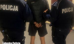 Policja weszła na posesję 30-latka. To znaleźli na strychu