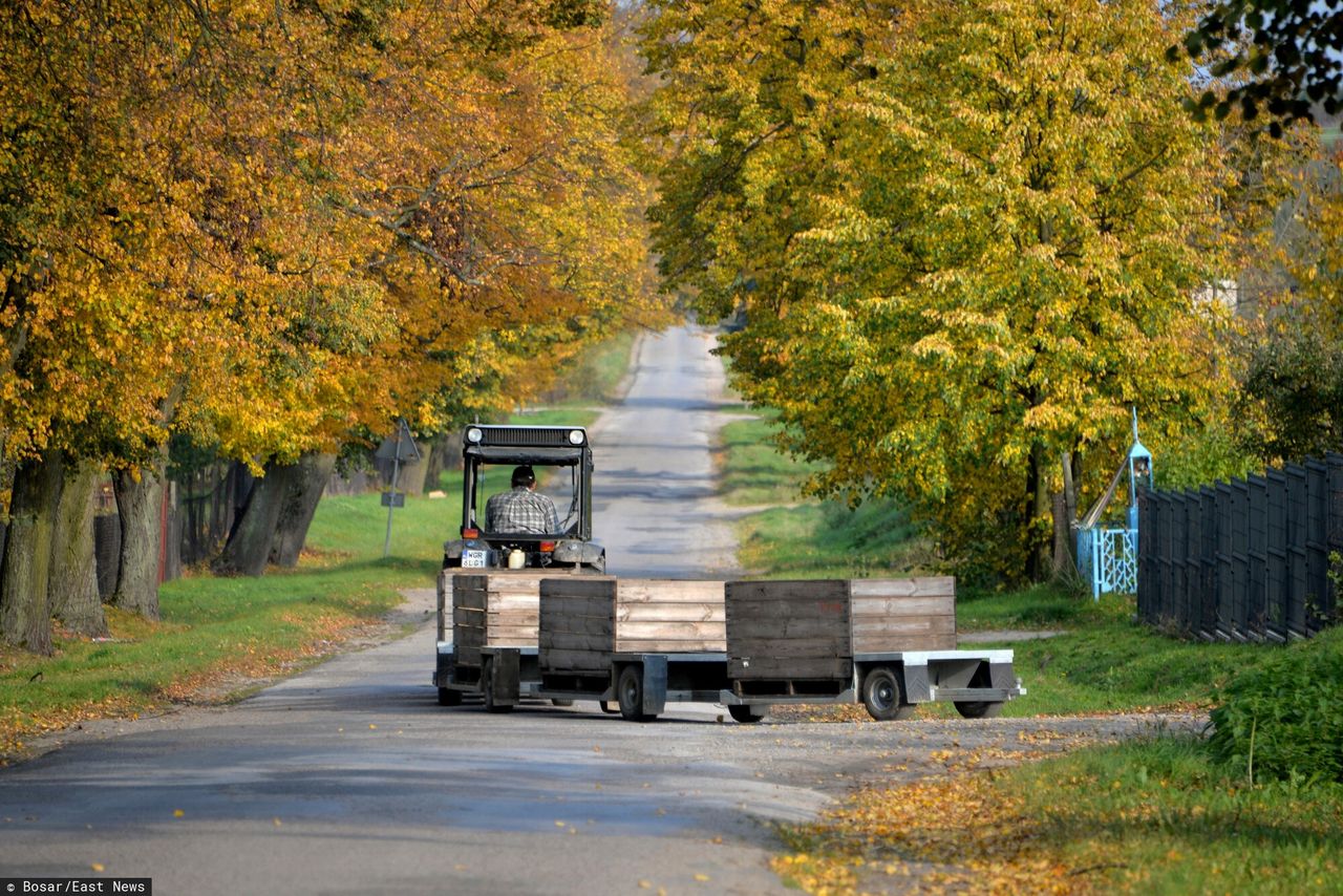 Polacy liczą na ukraiński popyt. Tego owocu zaczyna brakować na rynku