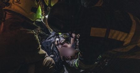 Brutalna, obrzydliwa, głupia. Wojna oczami korespondenta wojennego