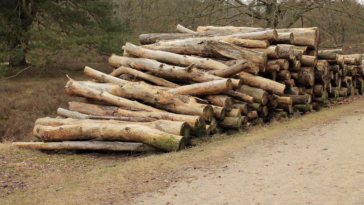 Zdjęcie ilustracyjne