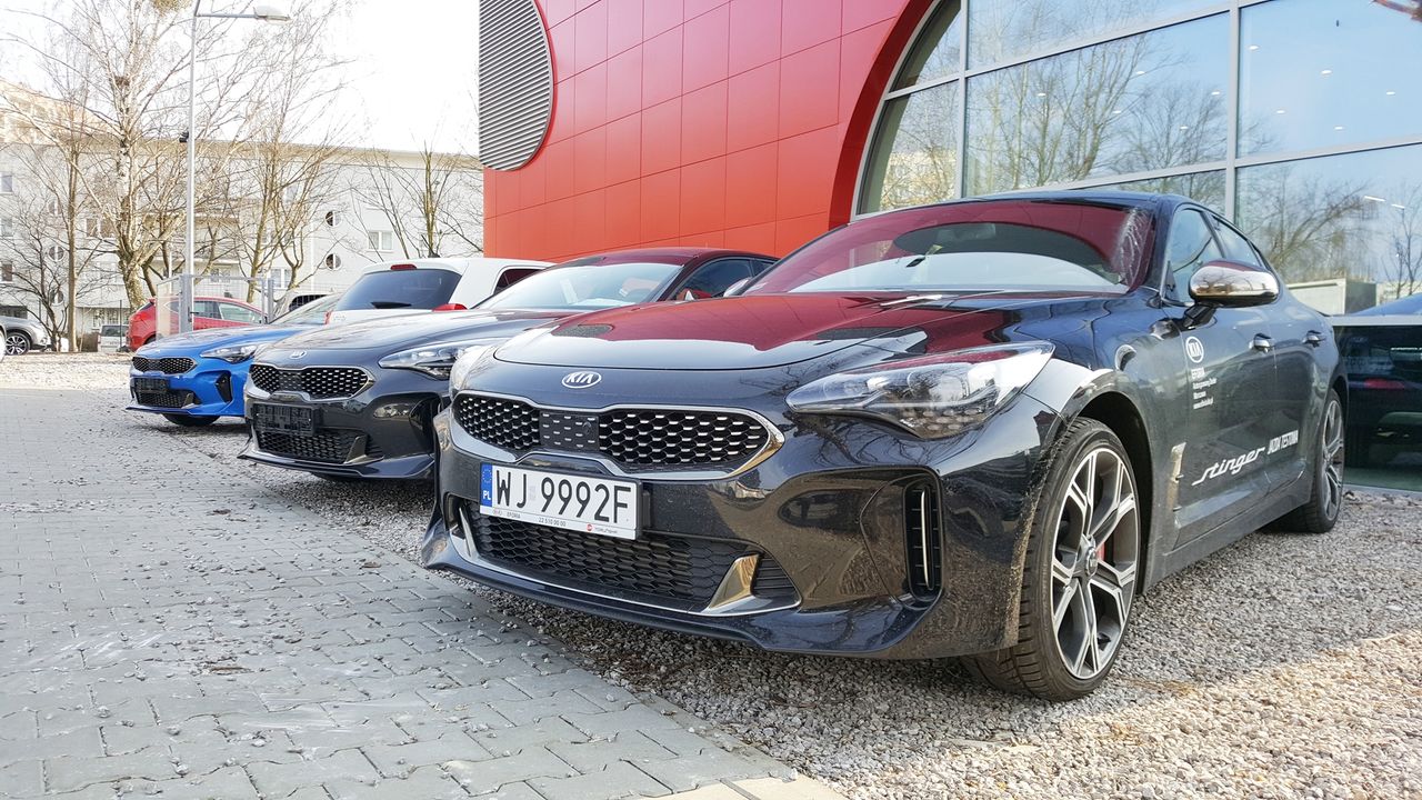 Firmy wolą wynajmować niż rozbudowywać floty?