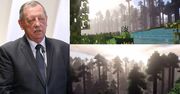 HIT SIECI: Puszcza Białowieska przeniesiona do Minecraft! "Jest zagrożona. Stworzyliśmy jej kopię"