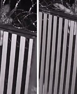 Incydent nocą na granicy. Migranci z Sekatorami ruszyli na ogrodzenie