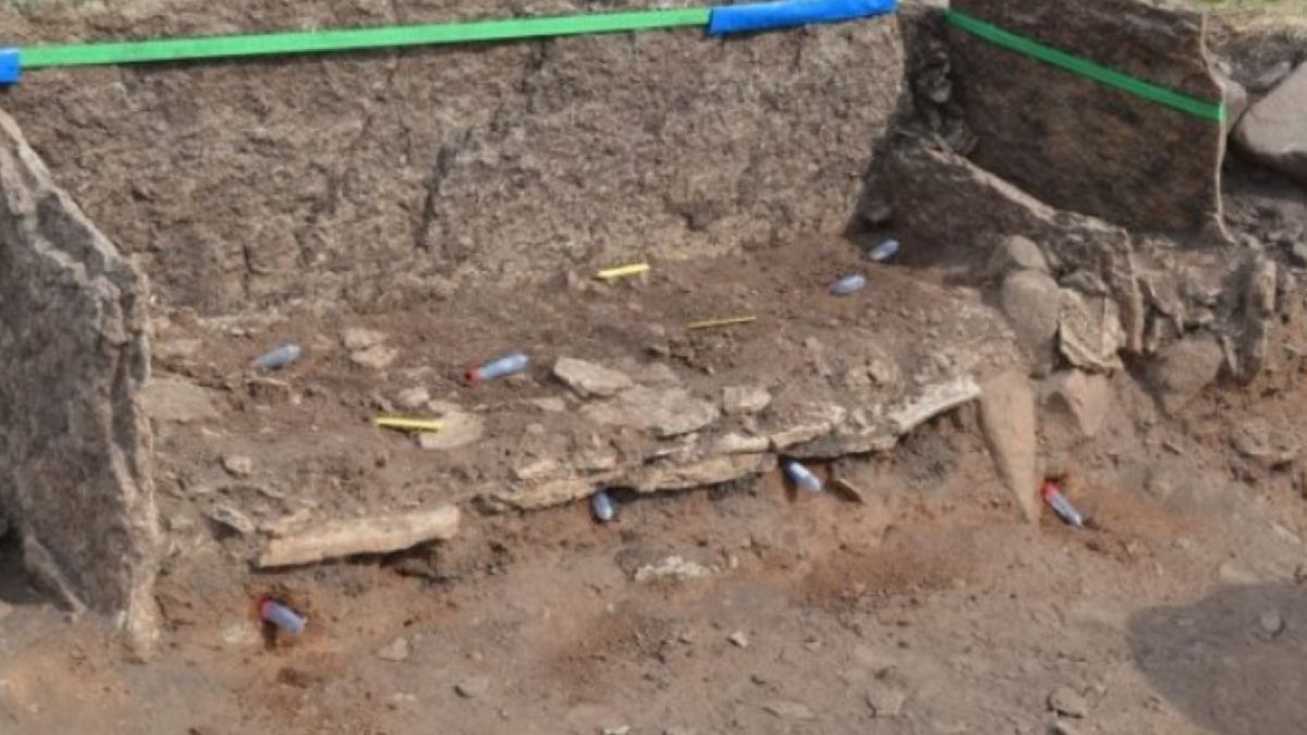 Budowla megalityczna w Tiarp w Szwecji jest starsza niż Stonehenge 
