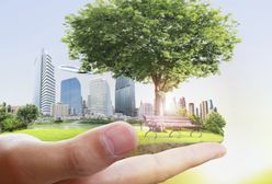 Sosnowiec. Skorzystałeś ze zwolnienia z opłaty za gospodarowanie odpadami, spodziewaj się kontroli