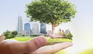 Sosnowiec. Skorzystałeś ze zwolnienia z opłaty za gospodarowanie odpadami, spodziewaj się kontroli