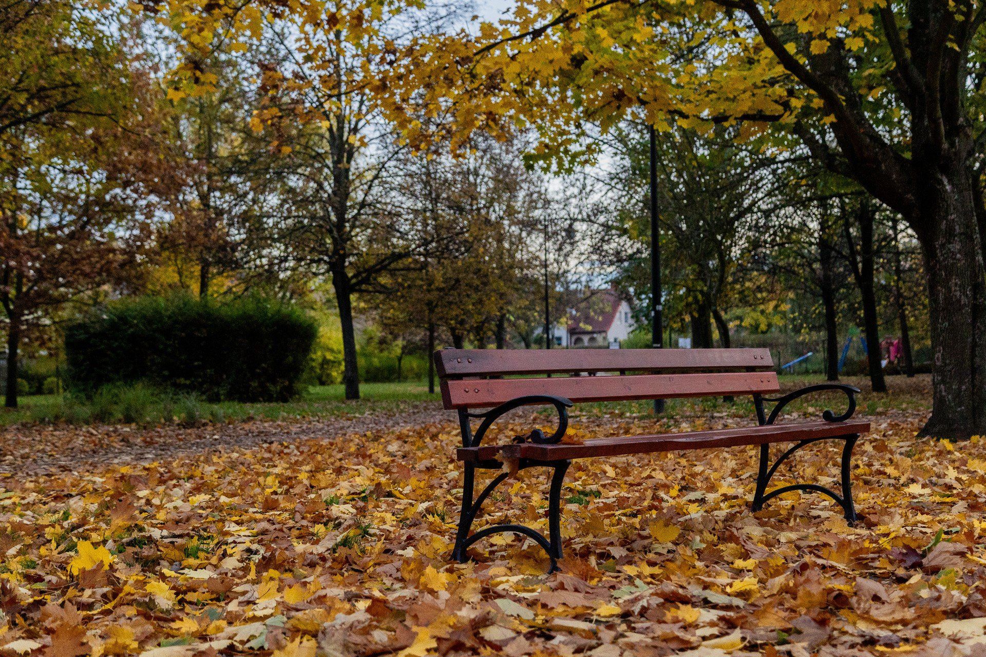 Park Miejski w Zduńskiej Woli w jesiennym wydaniu.