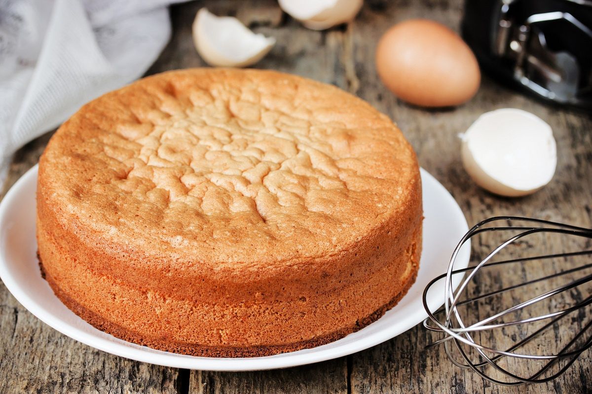 Pudding sponge cake: The delightful twist on a classic bake