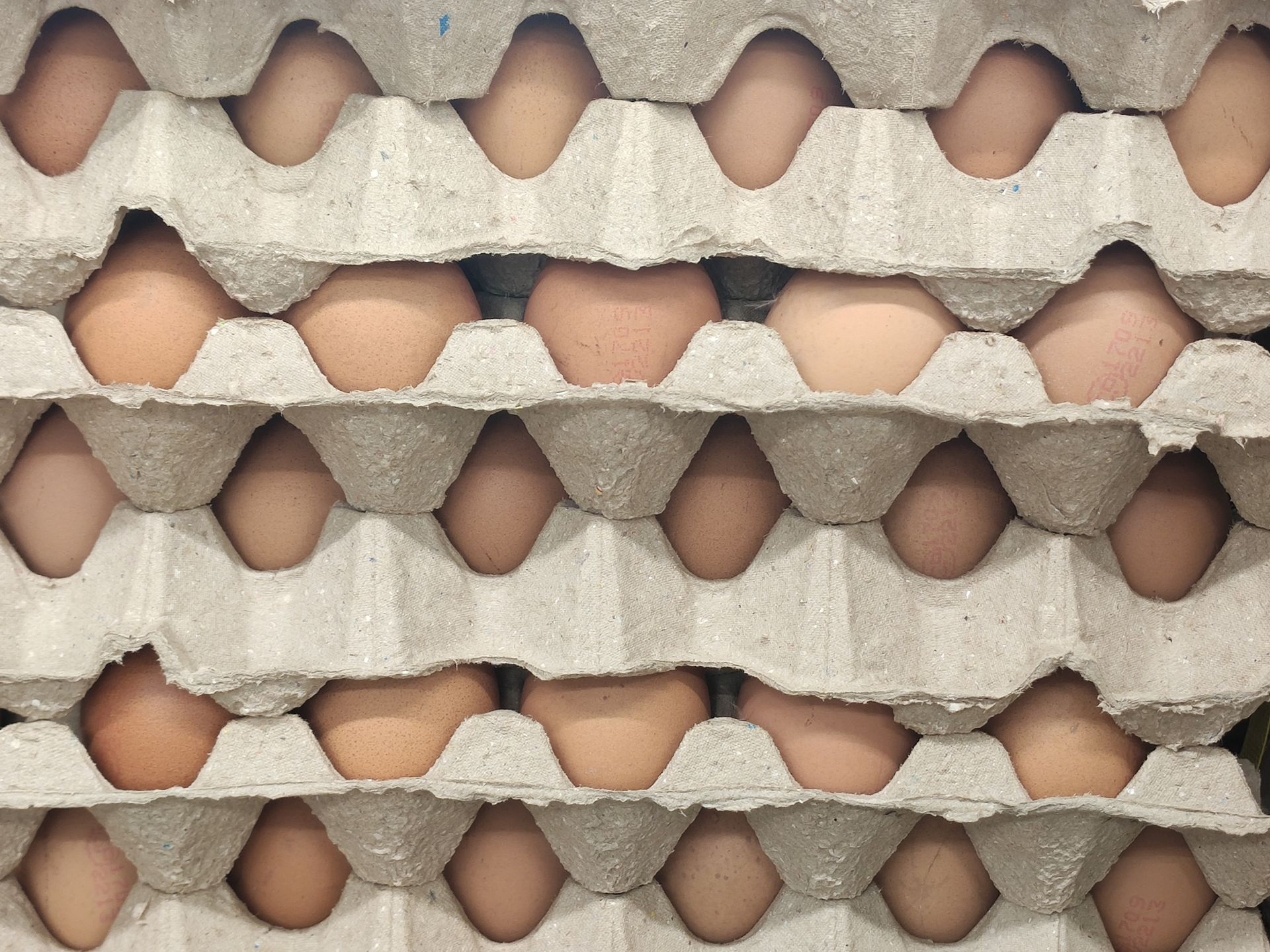 egg, food, eggs, brown, chicken, breakfast, fresh, farm, white, group, box, carton, ingredient, organic, shell, container, eggshell, protein, raw, healthy, isolated, package, easter, meal, eat, closeup, background, nature, life, cooking, old, country, outdoor, people, free range, grocery, trade