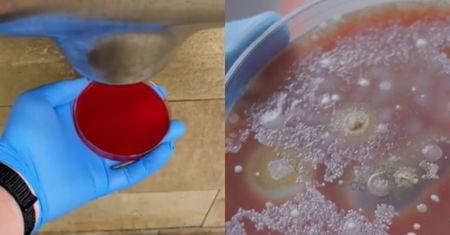 Naukowiec WHO pokazał to nagranie. Oto brzydka prawda na temat suszarek