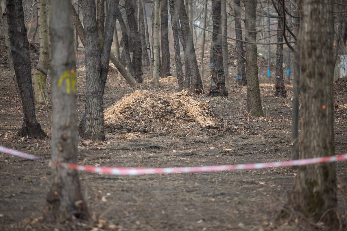 Bielsko-Biała. Od uporządkowania terenu rozpoczęły się prace przy zagospodarowaniu terenu od ujścia Straconki do rzeki Białej.