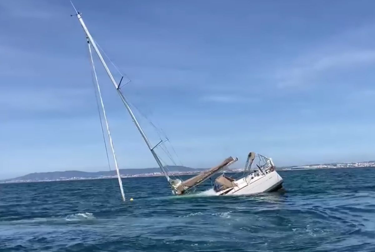 Godzinny atak drapieżników w Portugalii. Dramatyczne chwile załogi jachtu