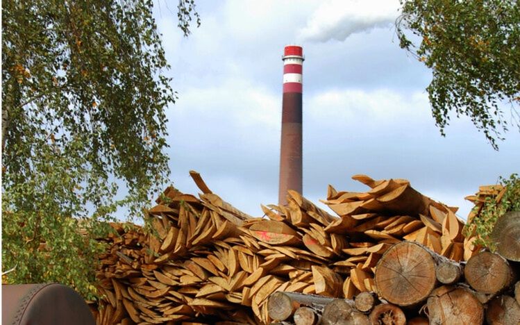 Import biomasy może kosztować 50 mld zł w 10 lat