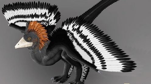 Po raz pierwszy w historii możemy obejrzeć prawdziwe kolory dinozaura 1