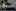 428091004672372652
