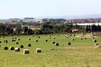 Przetargi na OPR-y budzą wątpliwości rolników. Chcą ich wstrzymania
