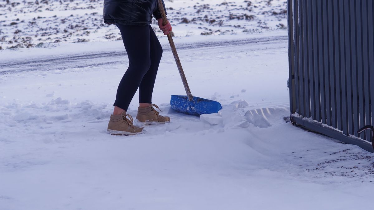 Mandat za nieodśnieżony chodnik
