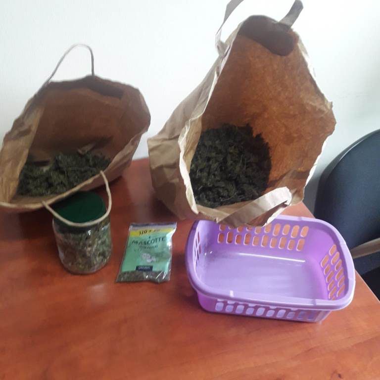 Zabezpieczona marihuana