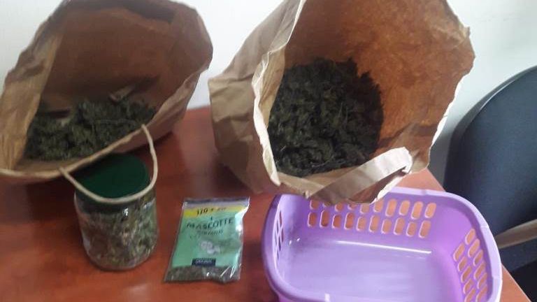 Zabezpieczona marihuana