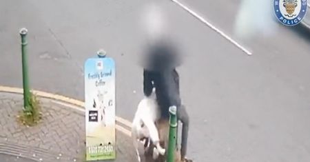 Poszła na spacer z psem. Spójrzcie na pitbulla