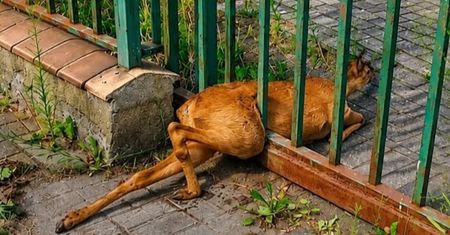 Boli od samego patrzenia. Mieszkaniec wezwał służby