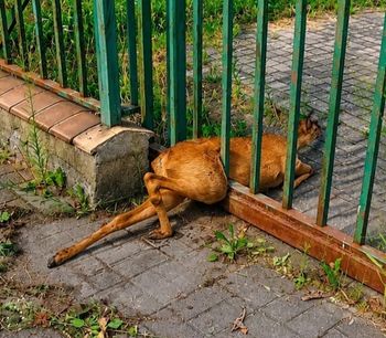 Boli od samego patrzenia. Mieszkaniec wezwał służby