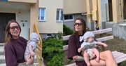 Gilon pod blokiem z wielkiej płyty wspomina dzieciństwo. "Zostawił nas ojciec"