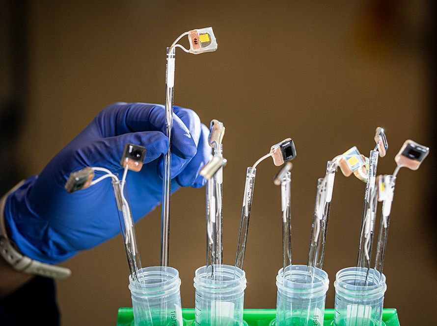 Naukowcy stworzyli sztuczny liść. Wykorzystuje światło słoneczne do produkcji cennych chemikaliów