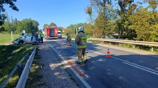 Cztery zdarzenia z udziałem dzikich zwierząt na płockich drogach. Policja apeluje do kierowców!