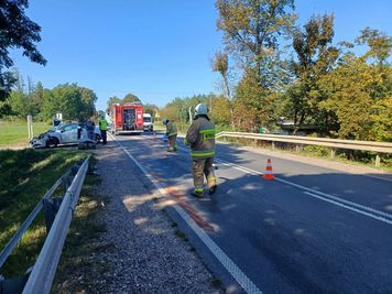 Cztery zdarzenia z udziałem dzikich zwierząt na płockich drogach. Policja apeluje do kierowców!