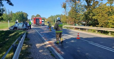 Cztery zdarzenia z udziałem dzikich zwierząt na płockich drogach. Policja apeluje do kierowców!