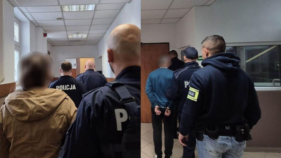 Fot. Licencjodawca