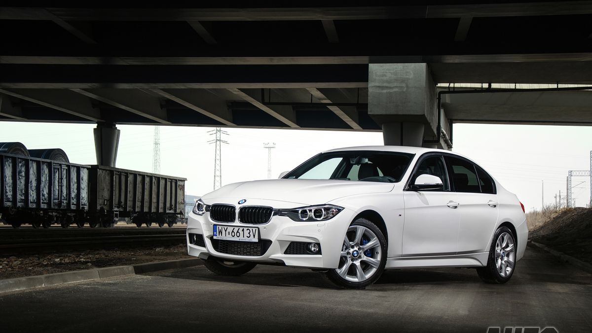 Zdjęcie ilustracyjne do artykułu