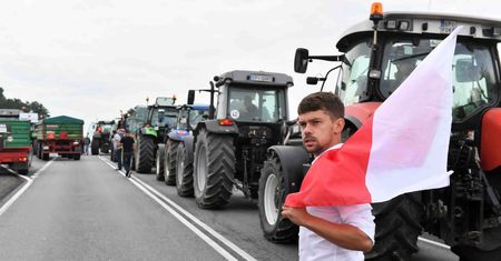 Kołodziejczak z Agrounii ostro odpowiada dziennikarce TVP Info. "Zakłamujecie rzeczywistość"