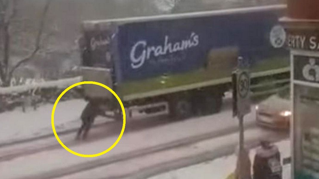 Kobieta próbująca wepchnąć ciężarówk