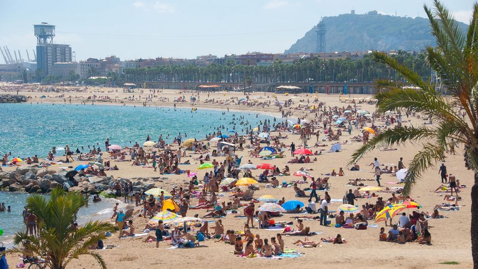 Plaża w Barcelonie