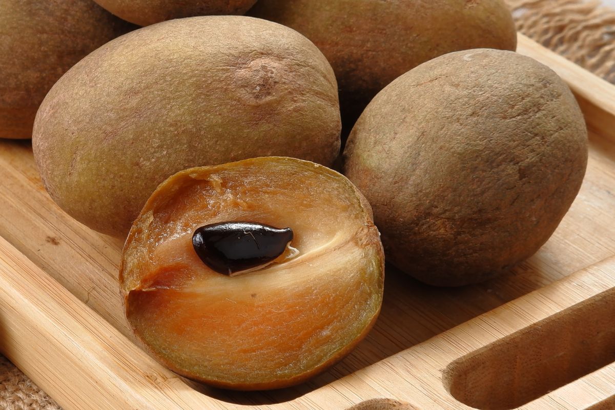 Sapoto to mało znany w Polsce owoc