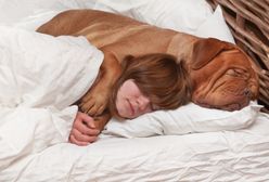 Pies śpi z tobą w łóżku? Lepiej to przeczytaj